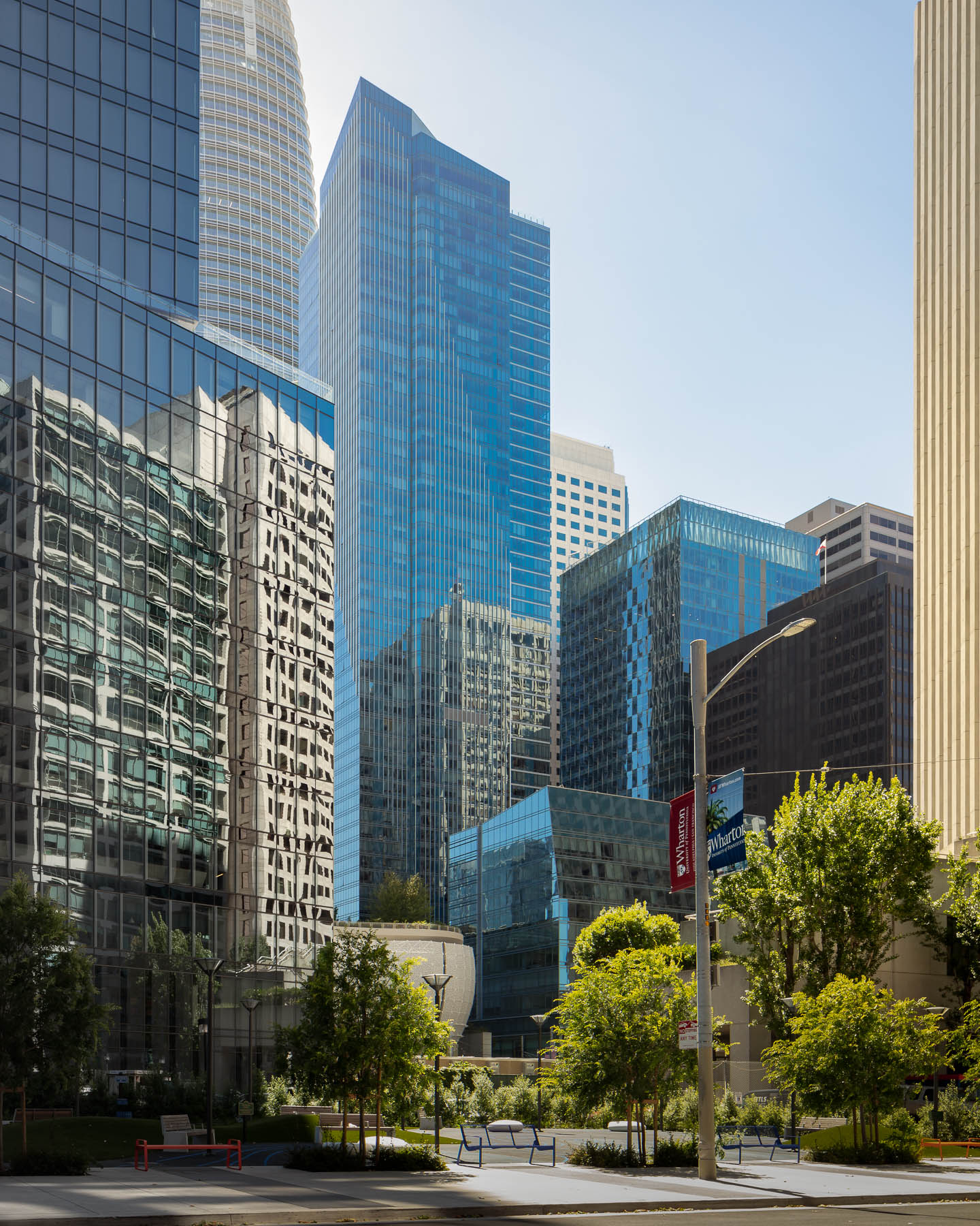 Scott Hargis Photo - SF Millennium